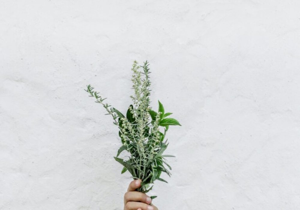 nordwood-themes-FnOoRU-PYio-unsplash-768x1152